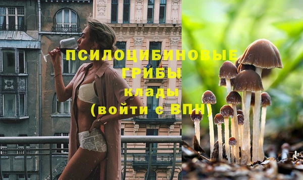 каннабис Покачи