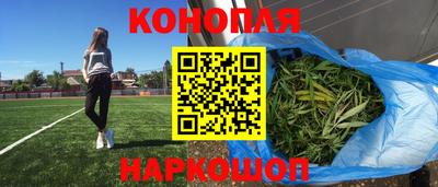 МДПВ Гусев