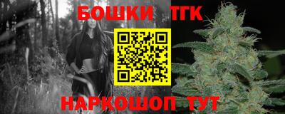 МДПВ Гусев