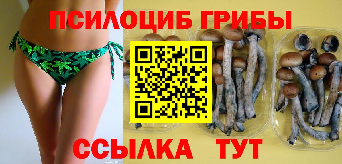 Псилоцибиновые грибы GOLDEN TEACHER  Вход с VPN  Магнитогорск 